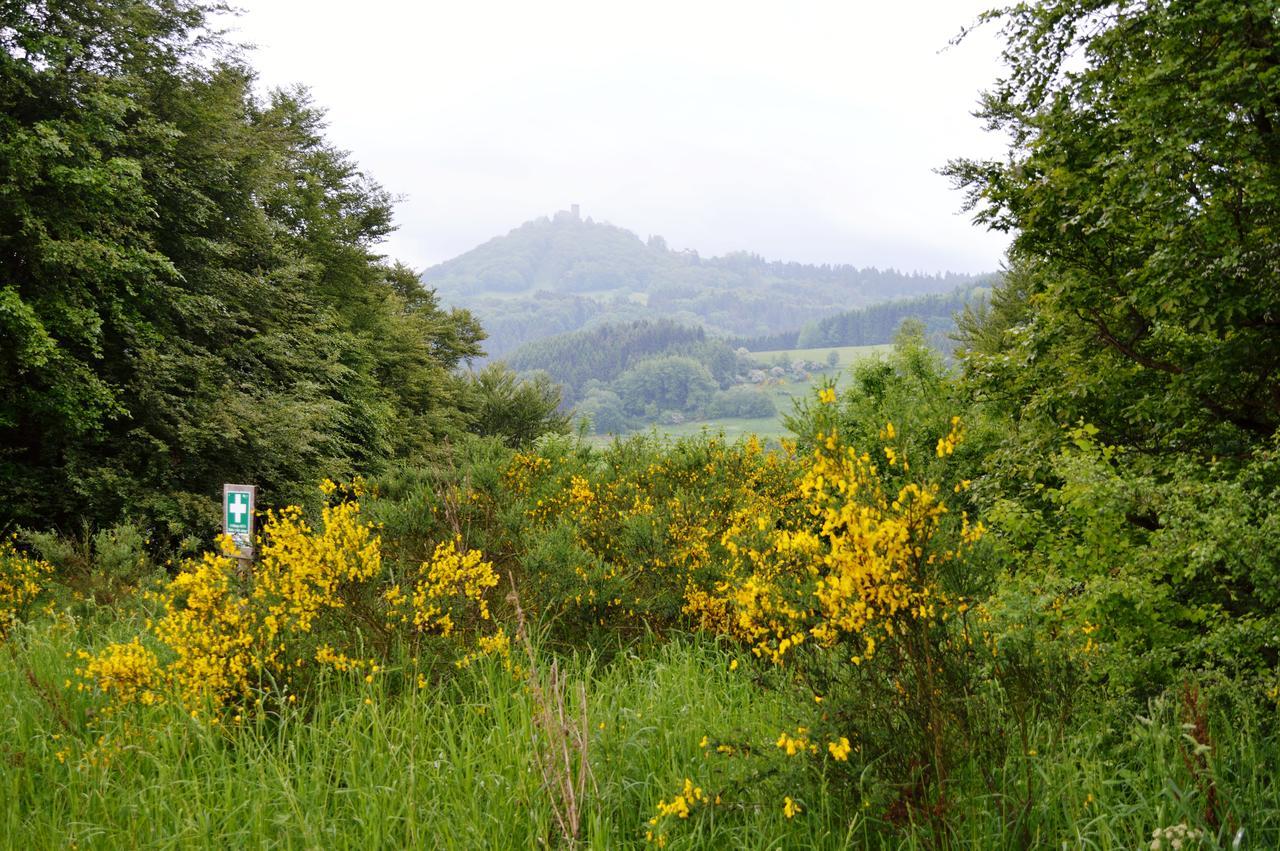 Franky House Am Nuerburgring Bed & Breakfast Quiddelbach Exterior photo