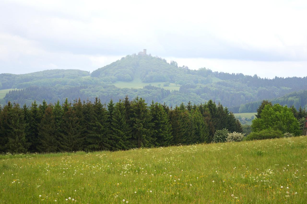 Franky House Am Nuerburgring Bed & Breakfast Quiddelbach Exterior photo
